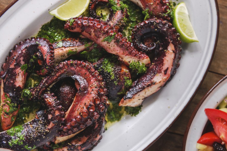 Octopus Dish
